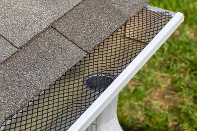 Gutter Maintenance